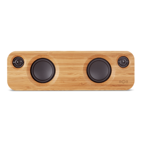 Mini 2