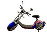 egoSCOOTER