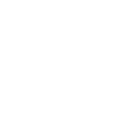 Electric Scooters