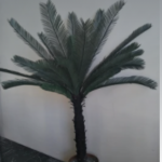 Artifical Canary Date Palm