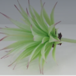 Artifical Cluster Succulent Plant