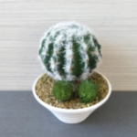 Artifical Flowers Cactus