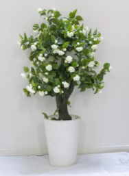 Artificial Gardenia Pot not included