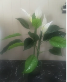 Artificial Madonna Lily Plant
