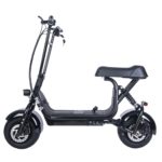 Steezer Fiik Scooter