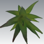artificial agava succulent plant