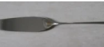 cake server