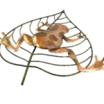 frog on leaf